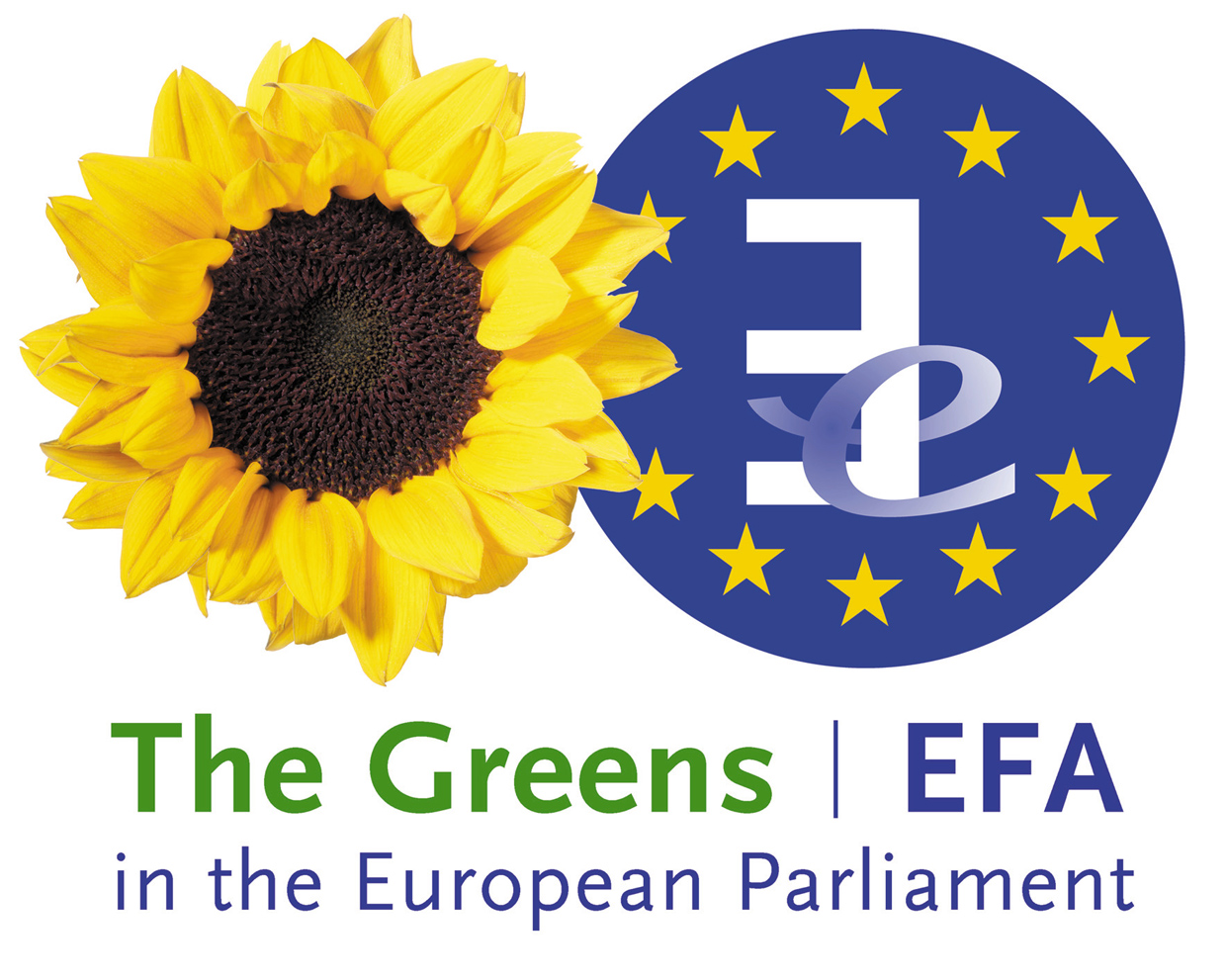 The Greens/EFA in the European Parliament